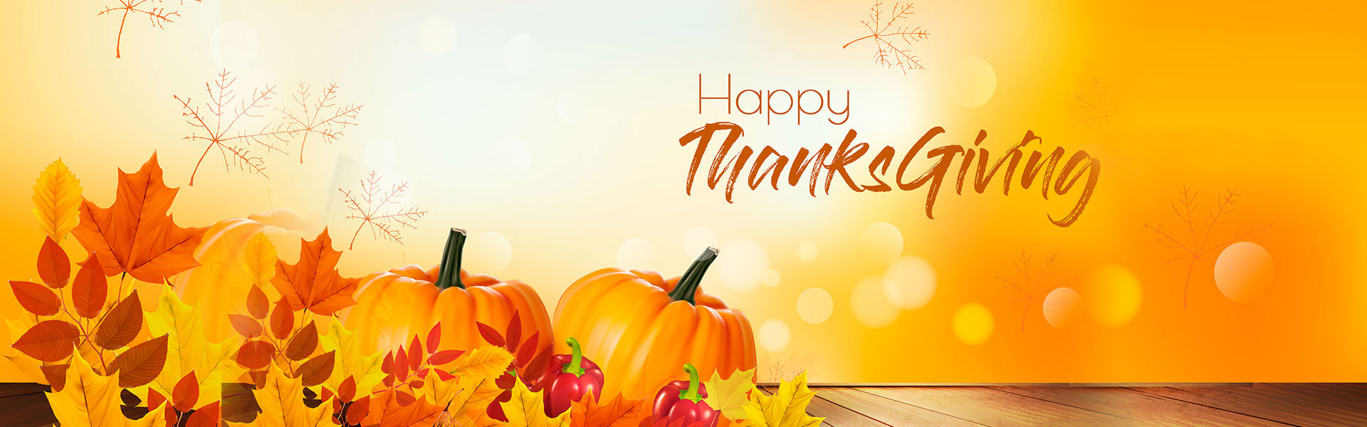 Thanksgiving Flight Coupon